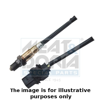 Oxygen Sensor
